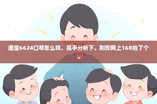 通宝6624口琴怎么样，高手分析下。刚在网上168拍了个。