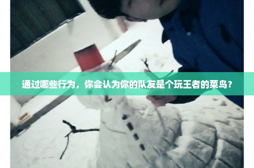 通过哪些行为，你会认为你的队友是个玩王者的菜鸟？