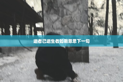 逝者已逝生者如斯意思下一句