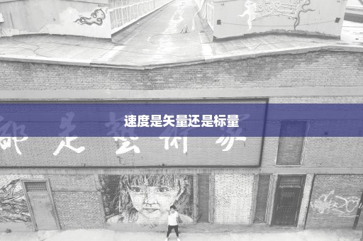 速度是矢量还是标量