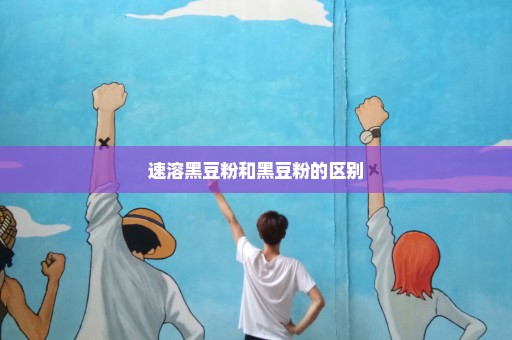 速溶黑豆粉和黑豆粉的区别