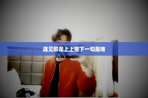 遇见即是上上签下一句是啥