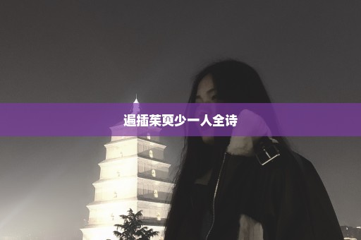 遍插茱萸少一人全诗