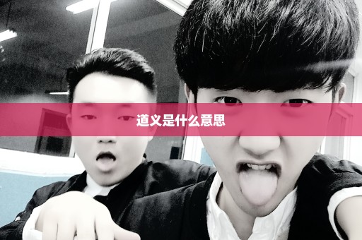 道义是什么意思