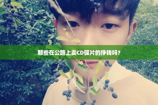 那些在公路上卖CD碟片的挣钱吗？