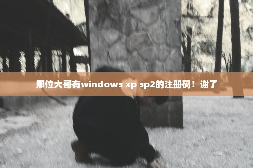 那位大哥有windows xp sp2的注册码！谢了
