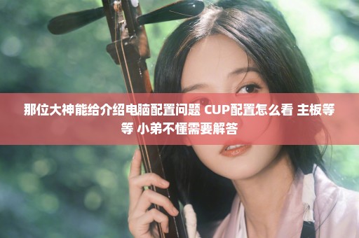 那位大神能给介绍电脑配置问题 CUP配置怎么看 主板等等 小弟不懂需要解答