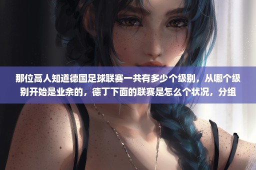 那位高人知道德国足球联赛一共有多少个级别，从哪个级别开始是业余的，德丁下面的联赛是怎么个状况，分组