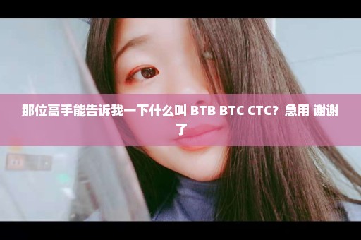那位高手能告诉我一下什么叫 BTB BTC CTC？急用 谢谢了