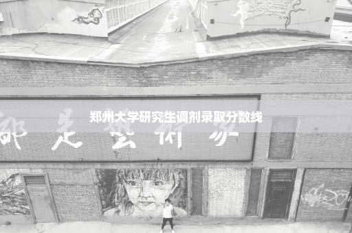 郑州大学研究生调剂录取分数线