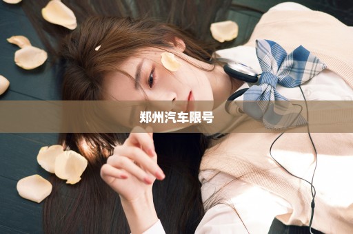 郑州汽车限号