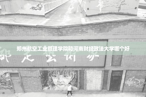 郑州航空工业管理学院和河南财经政法大学哪个好