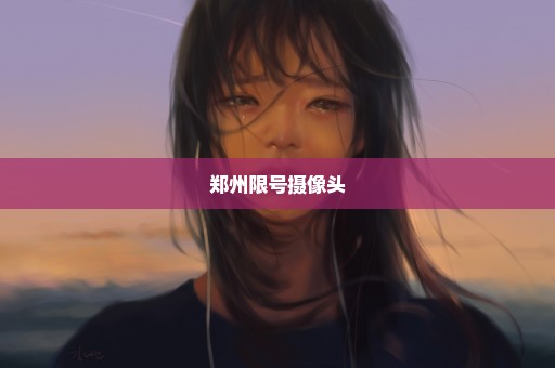 郑州限号摄像头