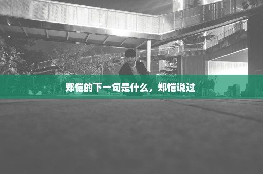 郑恺的下一句是什么，郑恺说过 