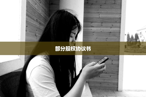 部分股权协议书