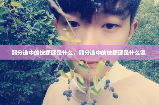 部分选中的快捷键是什么，部分选中的快捷键是什么键 