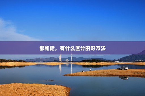 部和陪，有什么区分的好方法