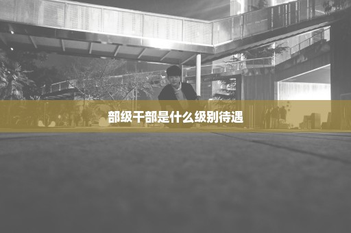 部级干部是什么级别待遇