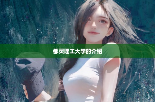 都灵理工大学的介绍