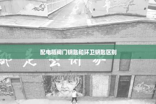 配电箱阀门钥匙和环卫钥匙区别