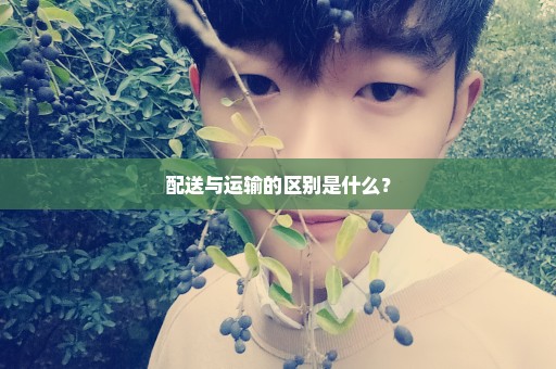 配送与运输的区别是什么？