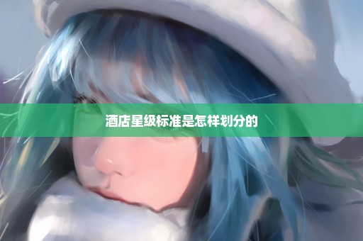 酒店星级标准是怎样划分的