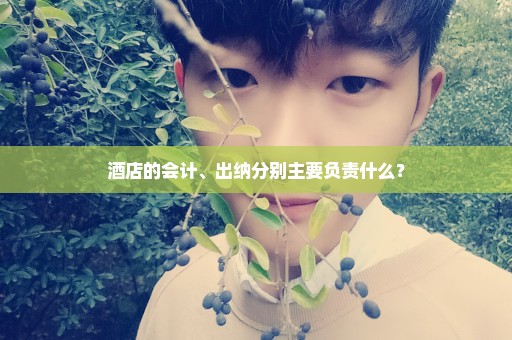 酒店的会计、出纳分别主要负责什么？