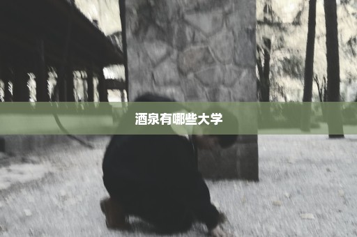 酒泉有哪些大学