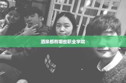 酒泉都有哪些职业学院