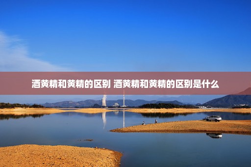 酒黄精和黄精的区别 酒黄精和黄精的区别是什么