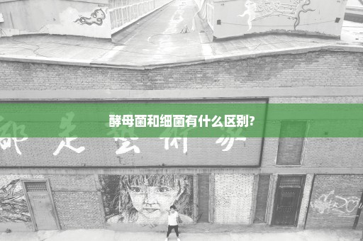 酵母菌和细菌有什么区别?