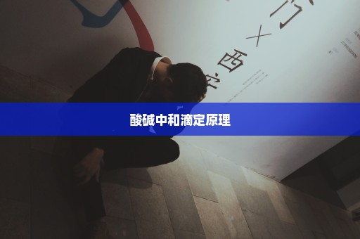 酸碱中和滴定原理