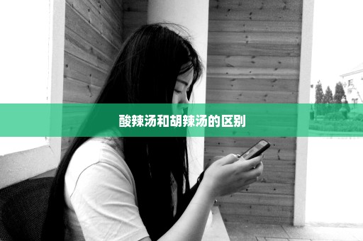 酸辣汤和胡辣汤的区别