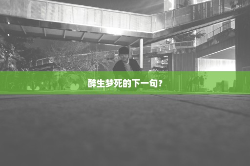 醉生梦死的下一句？