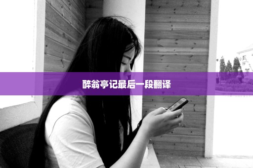 醉翁亭记最后一段翻译