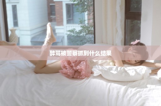 醉驾被警察抓到什么结果