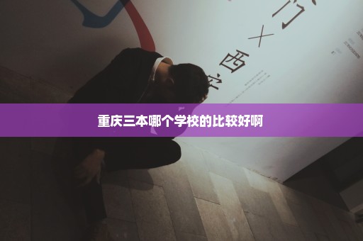 重庆三本哪个学校的比较好啊 