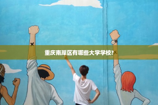 重庆南岸区有哪些大学学校?