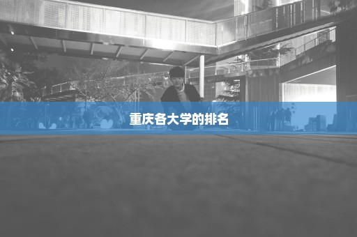 重庆各大学的排名