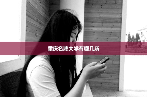 重庆名牌大学有哪几所