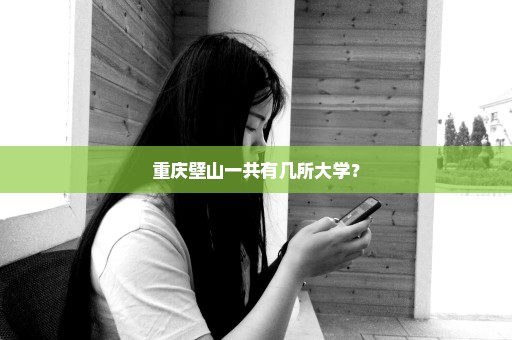 重庆壁山一共有几所大学？