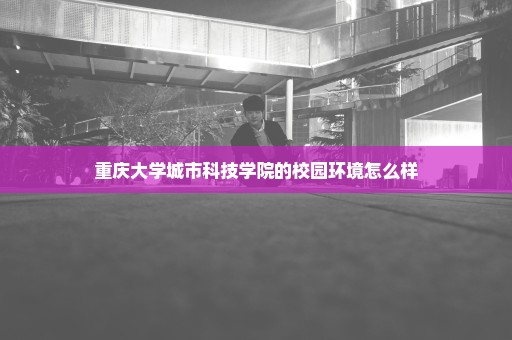 重庆大学城市科技学院的校园环境怎么样