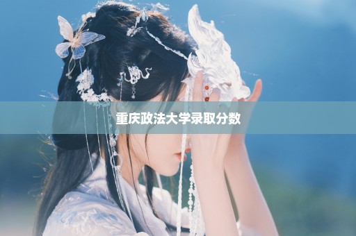 重庆政法大学录取分数