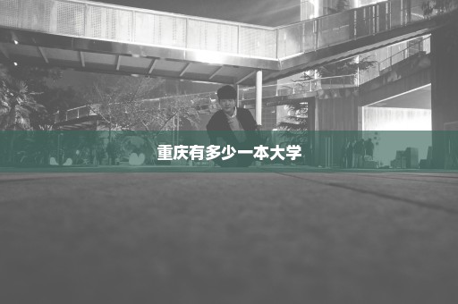 重庆有多少一本大学