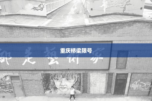 重庆桥梁限号