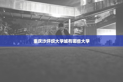 重庆沙坪坝大学城有哪些大学