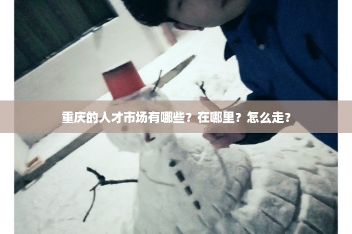 重庆的人才市场有哪些？在哪里？怎么走？