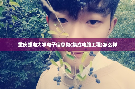 重庆邮电大学电子信息类(集成电路工程)怎么样