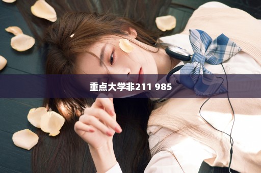 重点大学非211 985