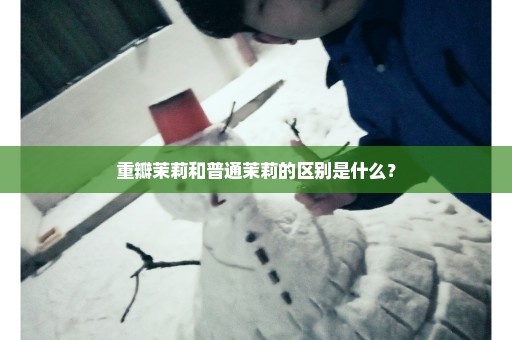 重瓣茉莉和普通茉莉的区别是什么？